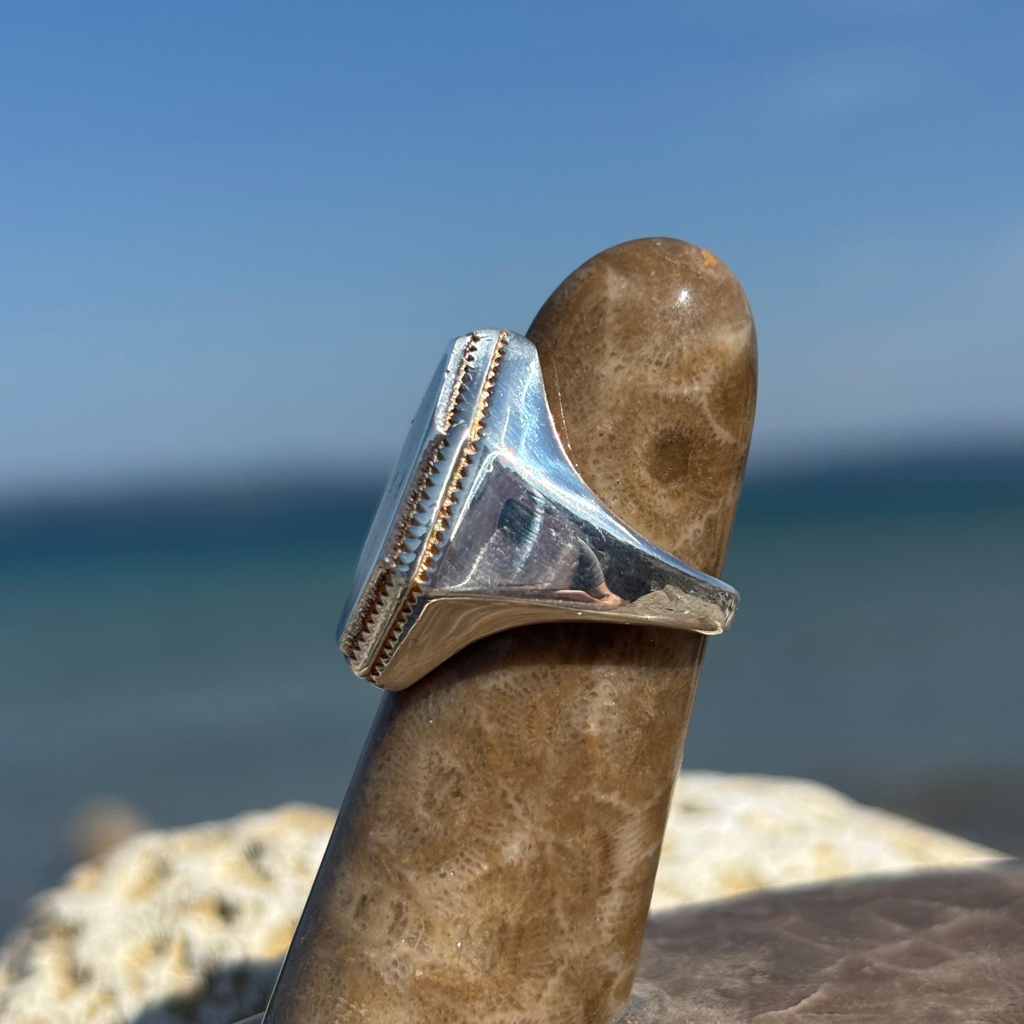 Men's Petoskey Stone Sterling Silver Rings