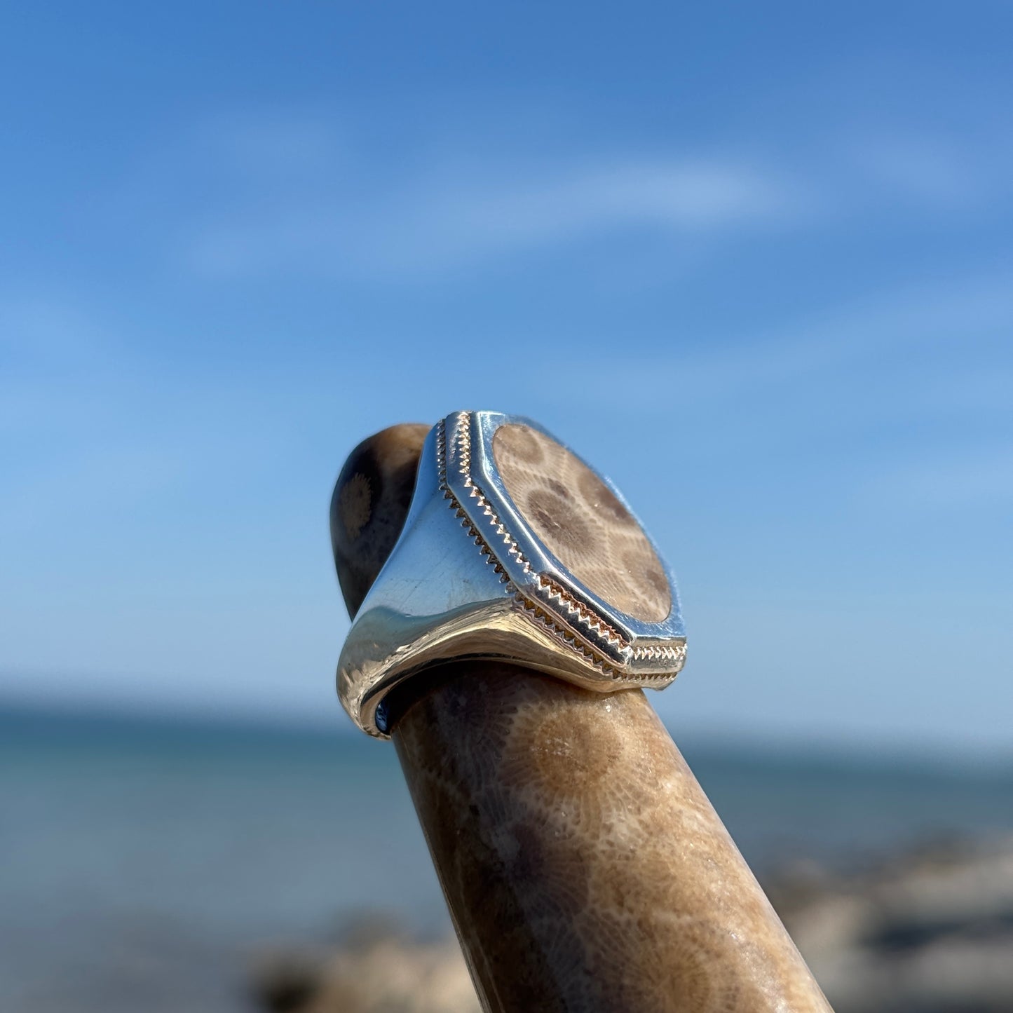Men's Petoskey Stone Sterling Silver Rings