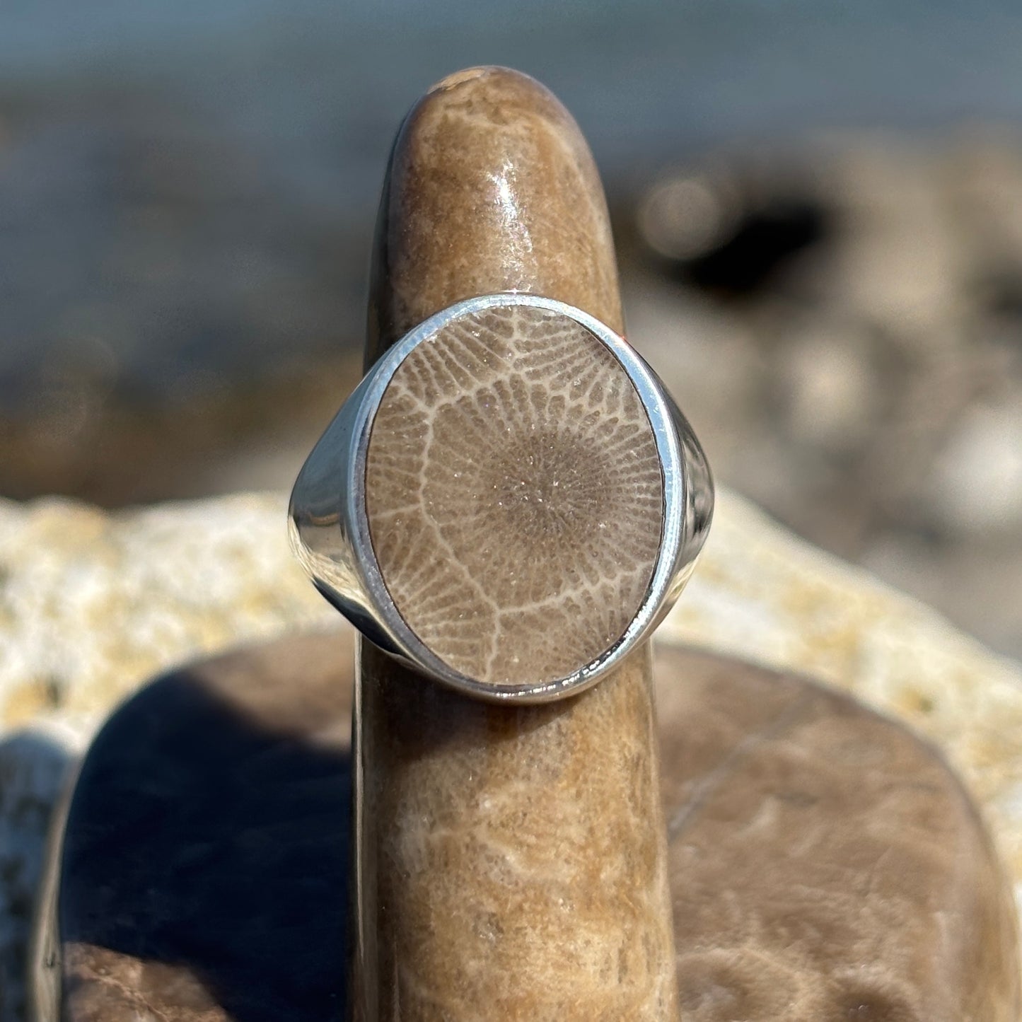 Men's Petoskey Stone Sterling Silver Rings