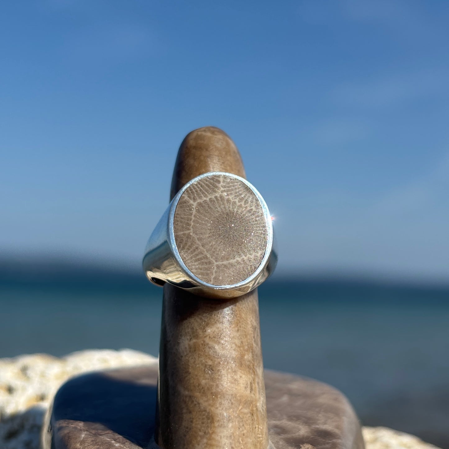 Men's Petoskey Stone Sterling Silver Rings