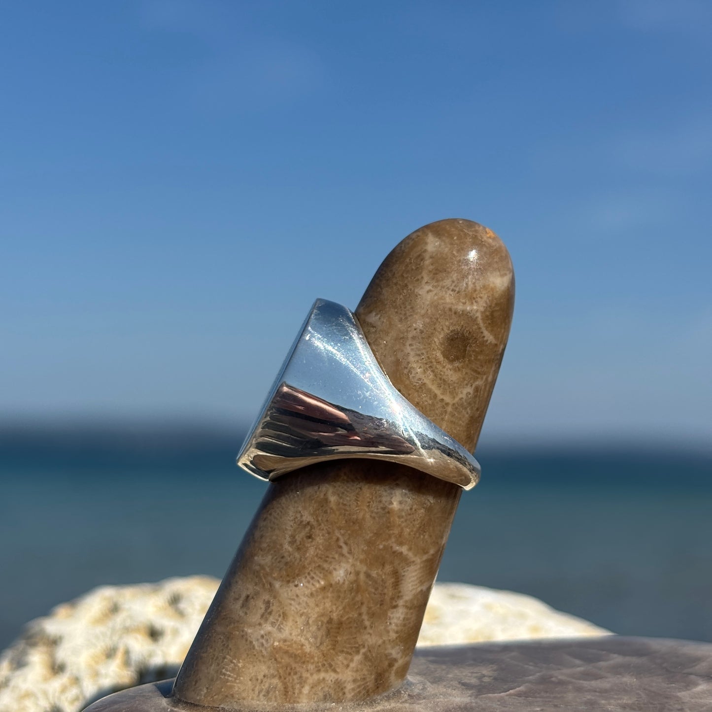 Men's Petoskey Stone Sterling Silver Rings