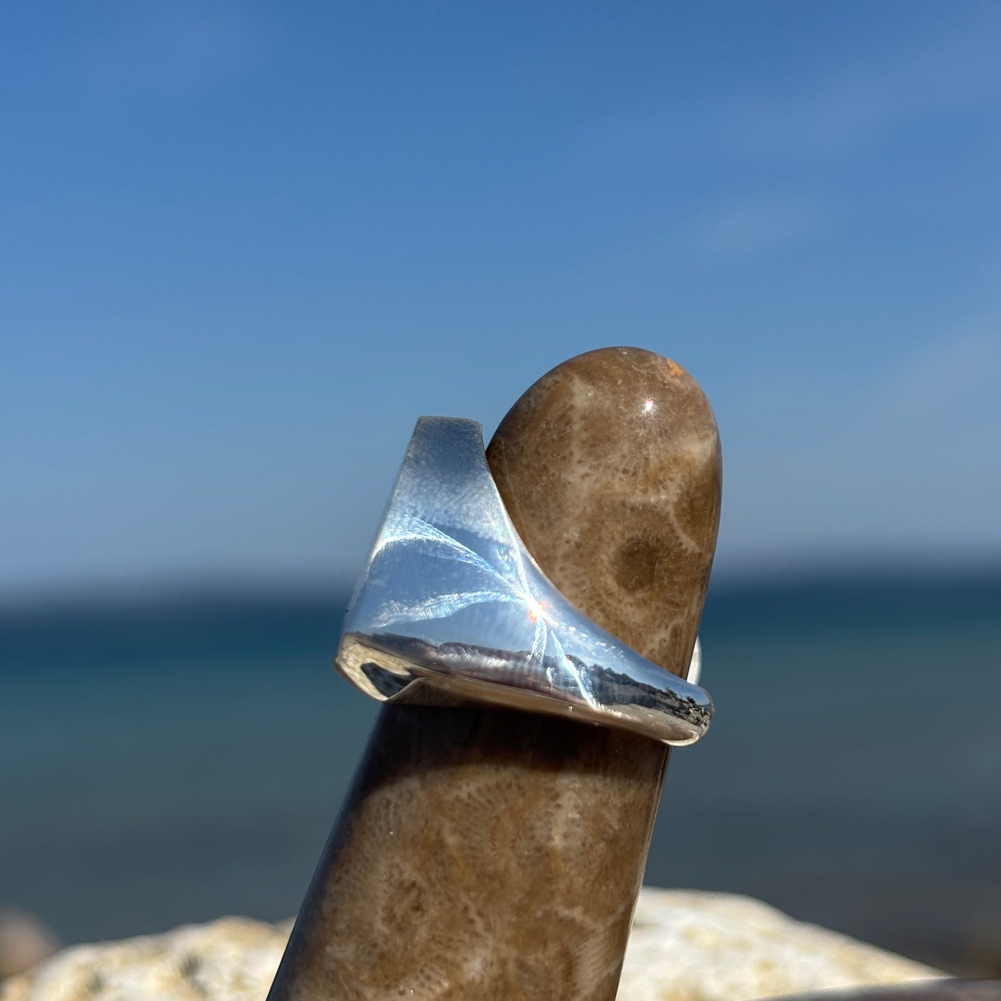 Men's Petoskey Stone Sterling Silver Rings