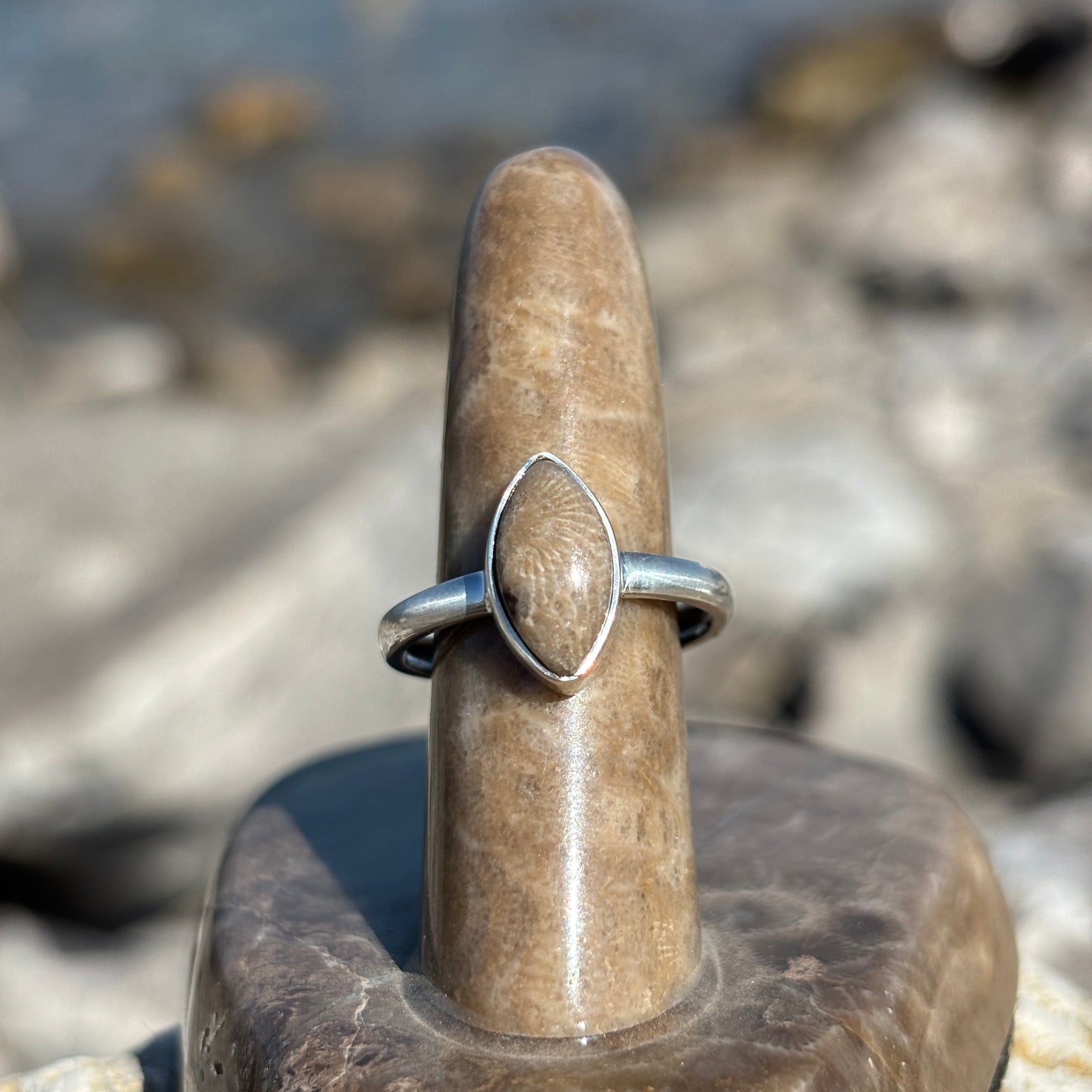 Petoskey Stone Sterling Silver Ring