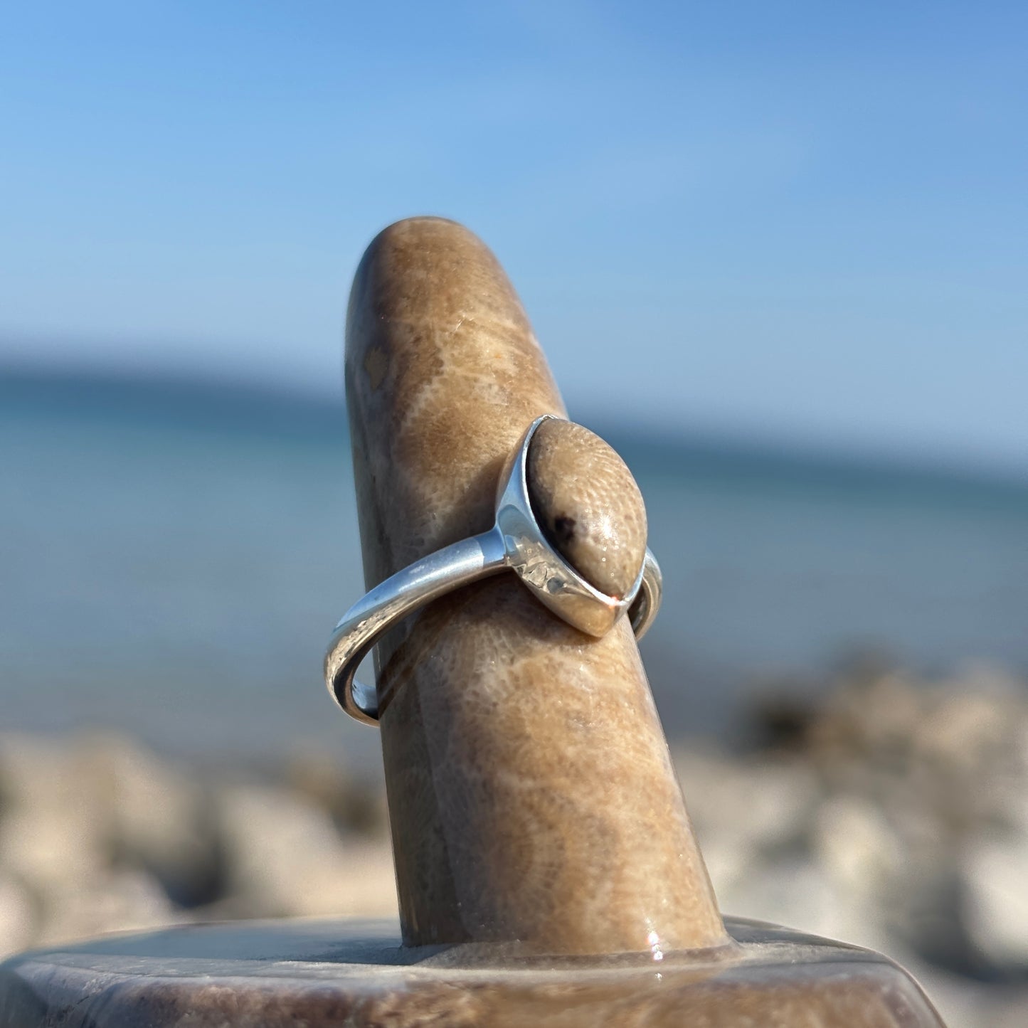 Petoskey Stone Sterling Silver Ring