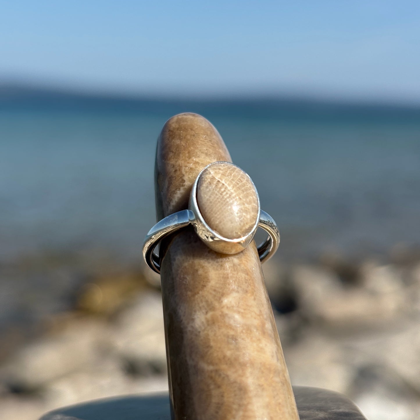 Petoskey Stone Sterling Silver Ring