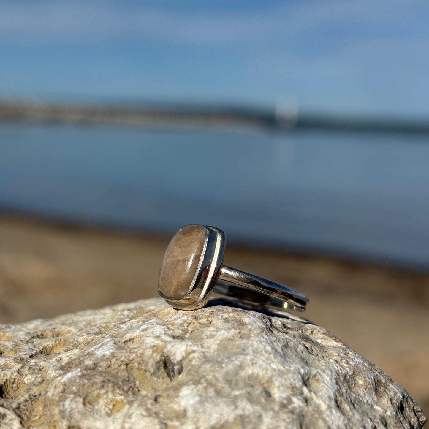 Petoskey Stone Sterling Silver Ring with Frame