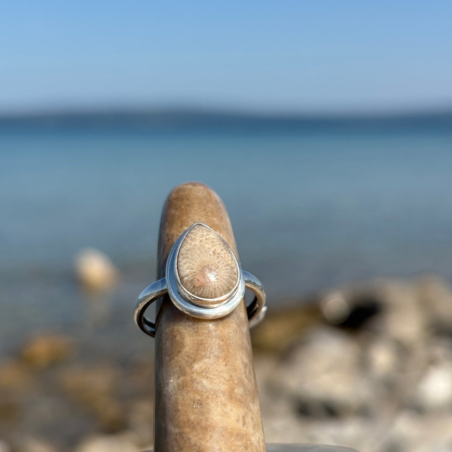 Petoskey Stone Sterling Silver Ring with Frame