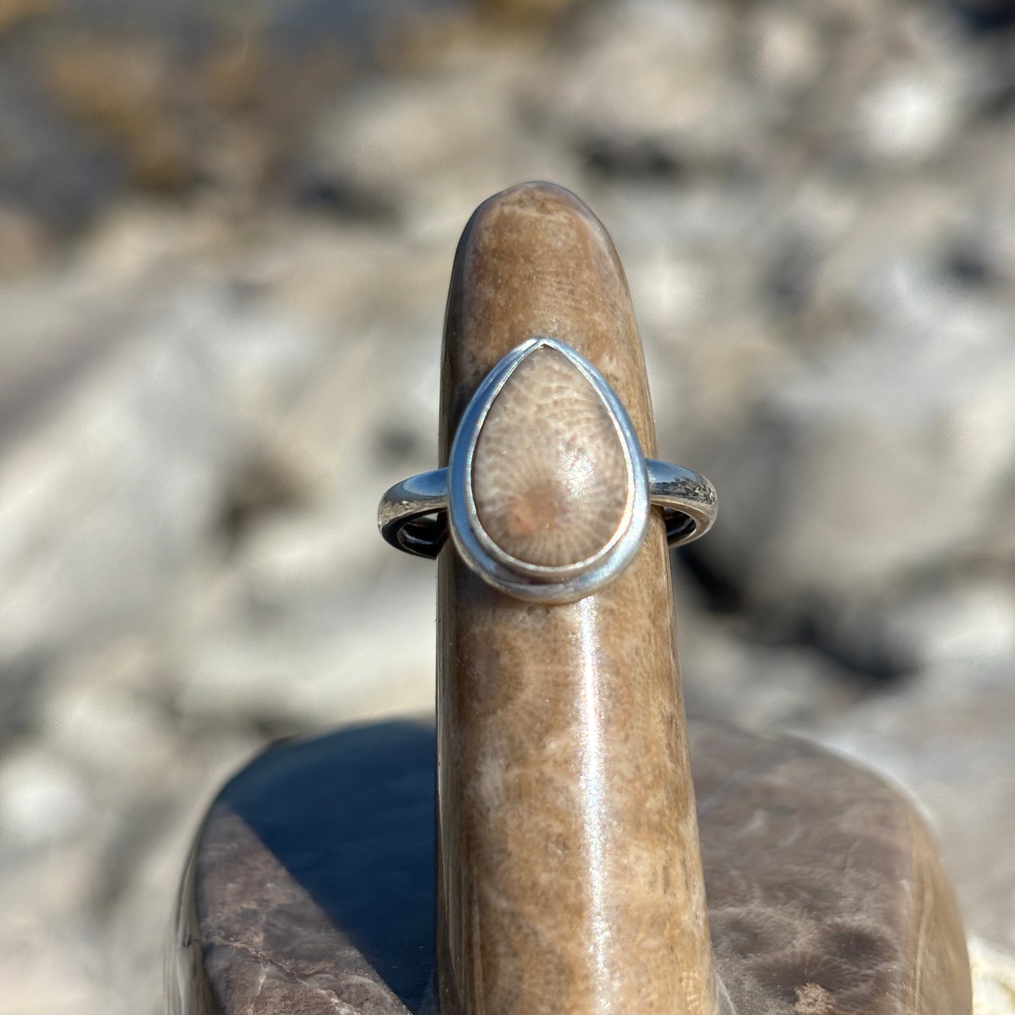 Petoskey Stone Sterling Silver Ring with Frame