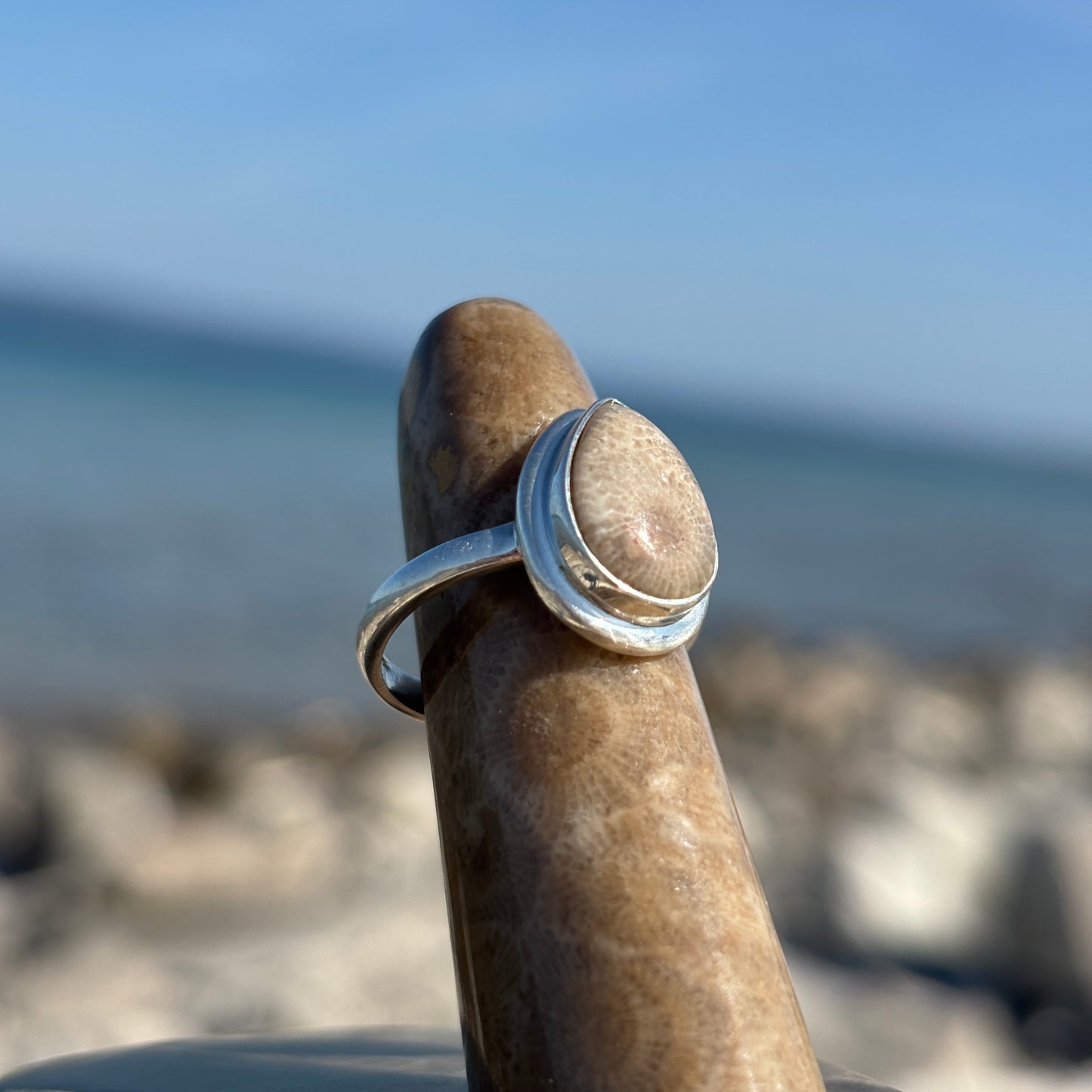 Petoskey Stone Sterling Silver Ring with Frame