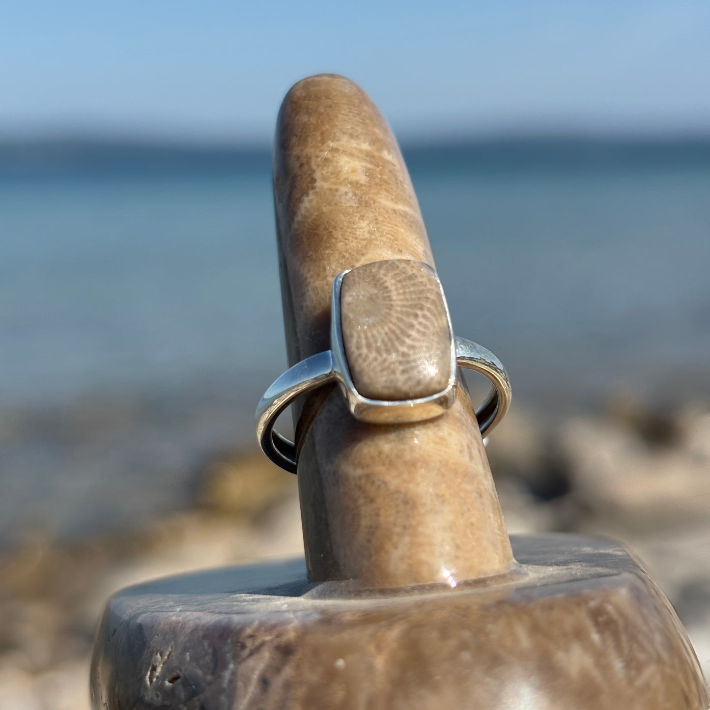 Petoskey Stone Sterling Silver Ring