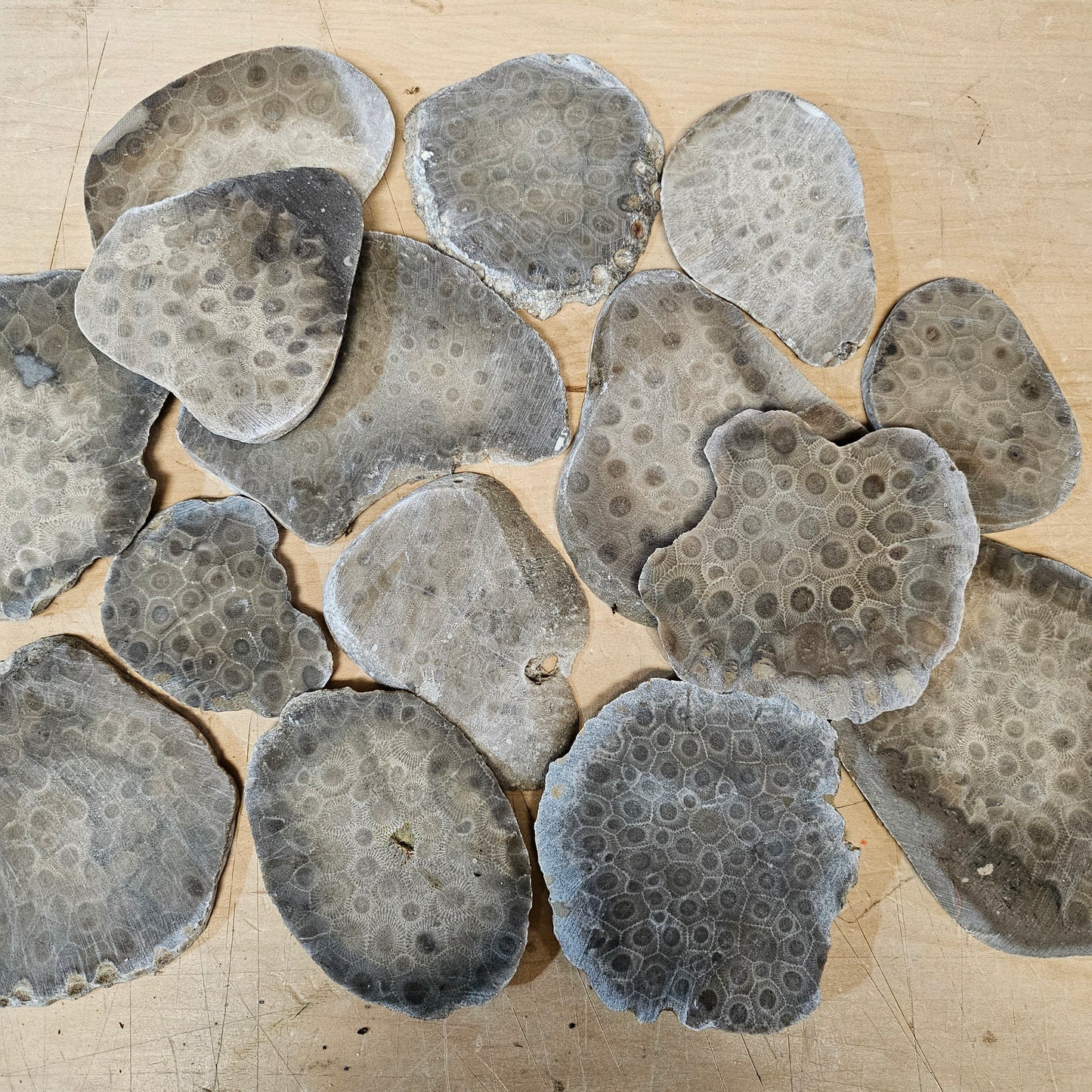 Petoskey Stone Slab Chips - Unpolished