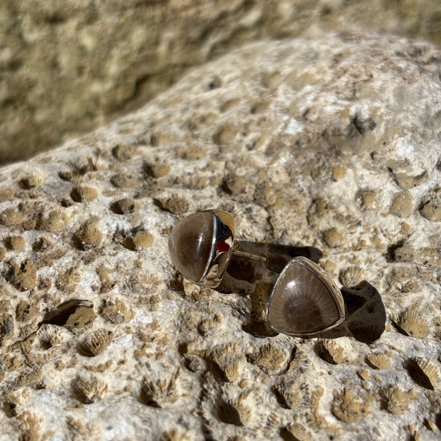 Petoskey Stone Stud Earring with Sterling Silver