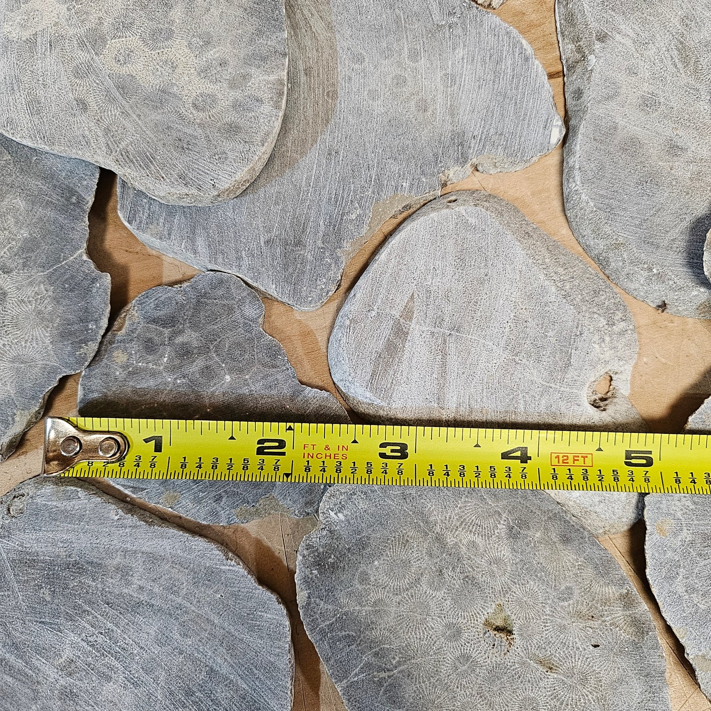 Petoskey Stone Slab Chips - Unpolished