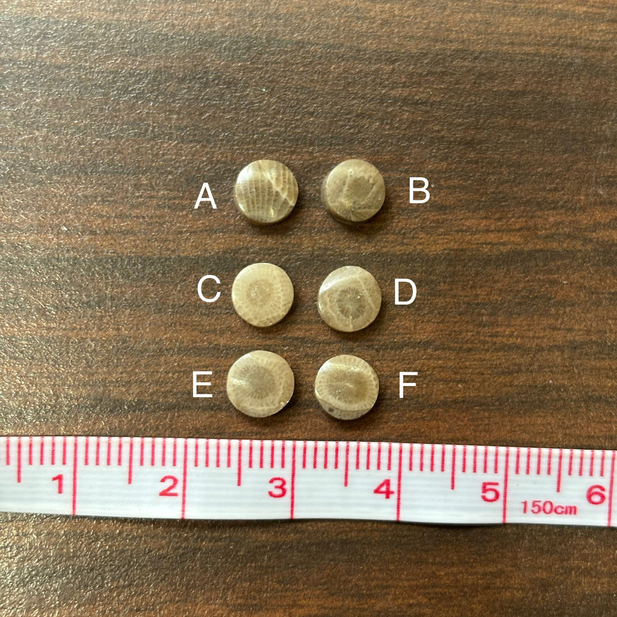 Six circular Petoskey stone 6mm cabochons labeled A to F on a wooden surface with a measuring tape at the bottom.