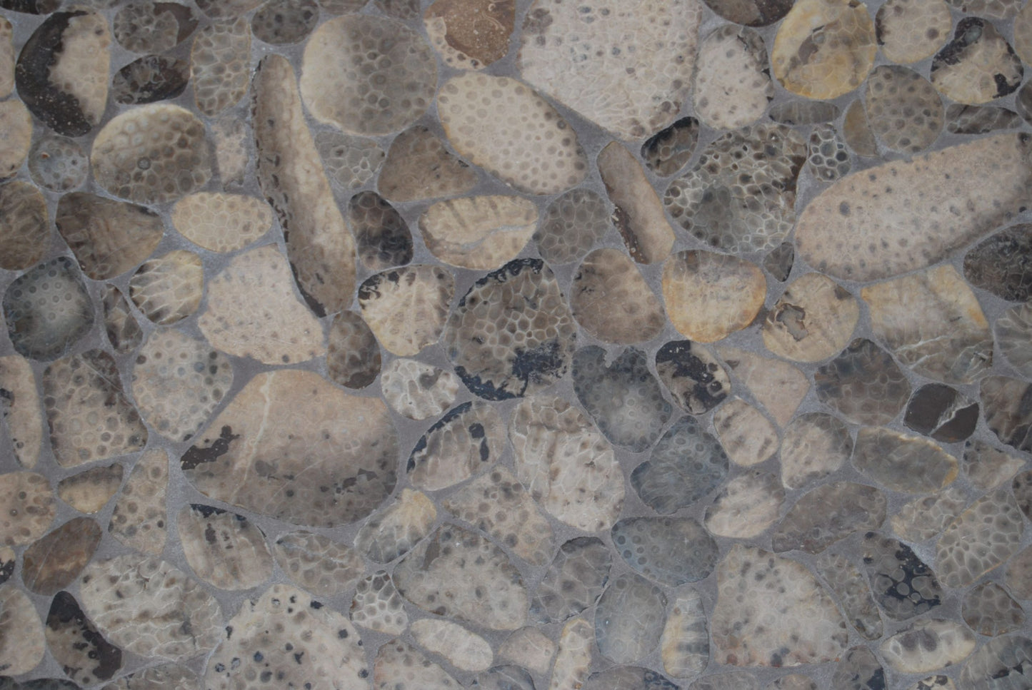 Overview of the petoskey stone tile square all filled in and finished.