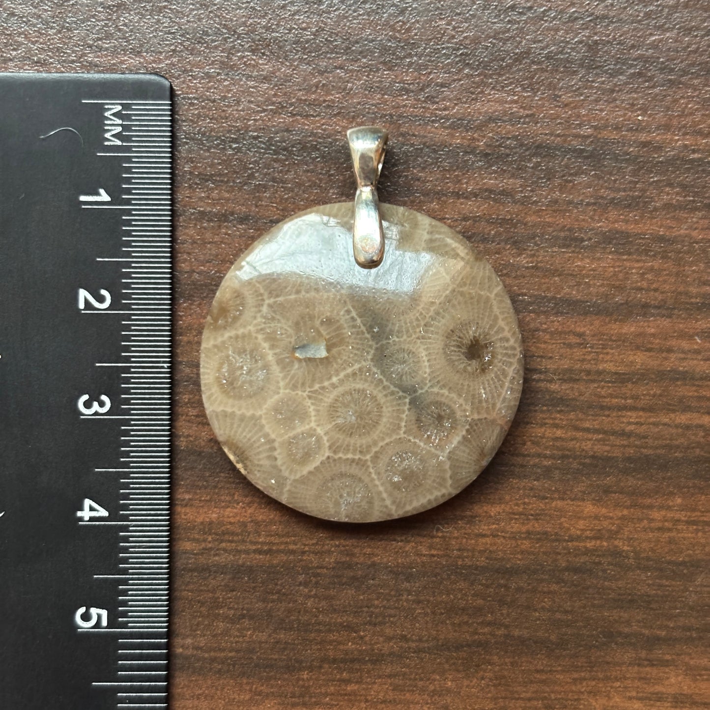 Petoskey Stone Pendant 30mm Round