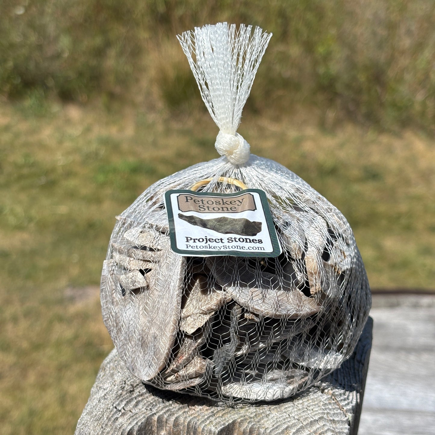 Petoskey Stone Project Stones