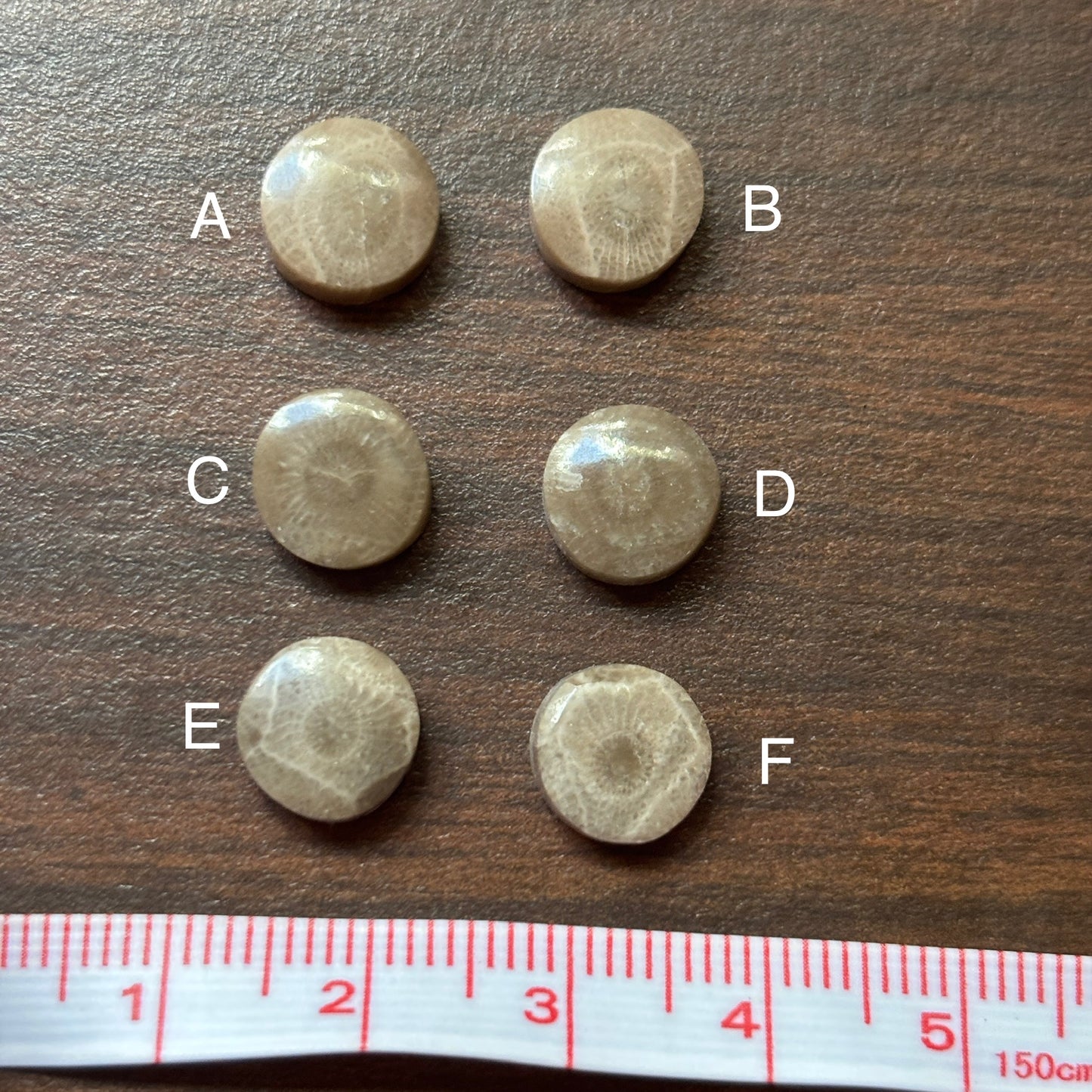 Six circular Petoskey stone cabochons labeled A through F on a wood surface
