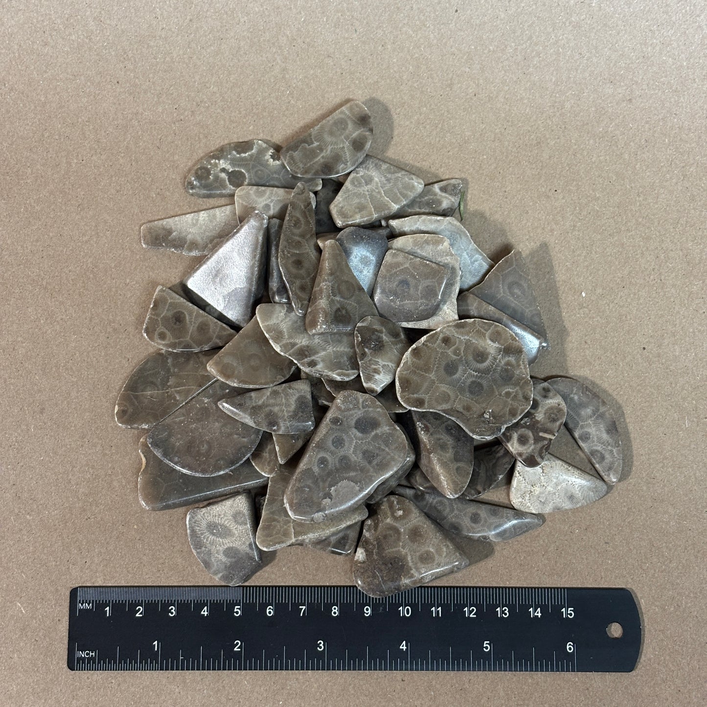 Bulk Polished Petoskey Stone Chips