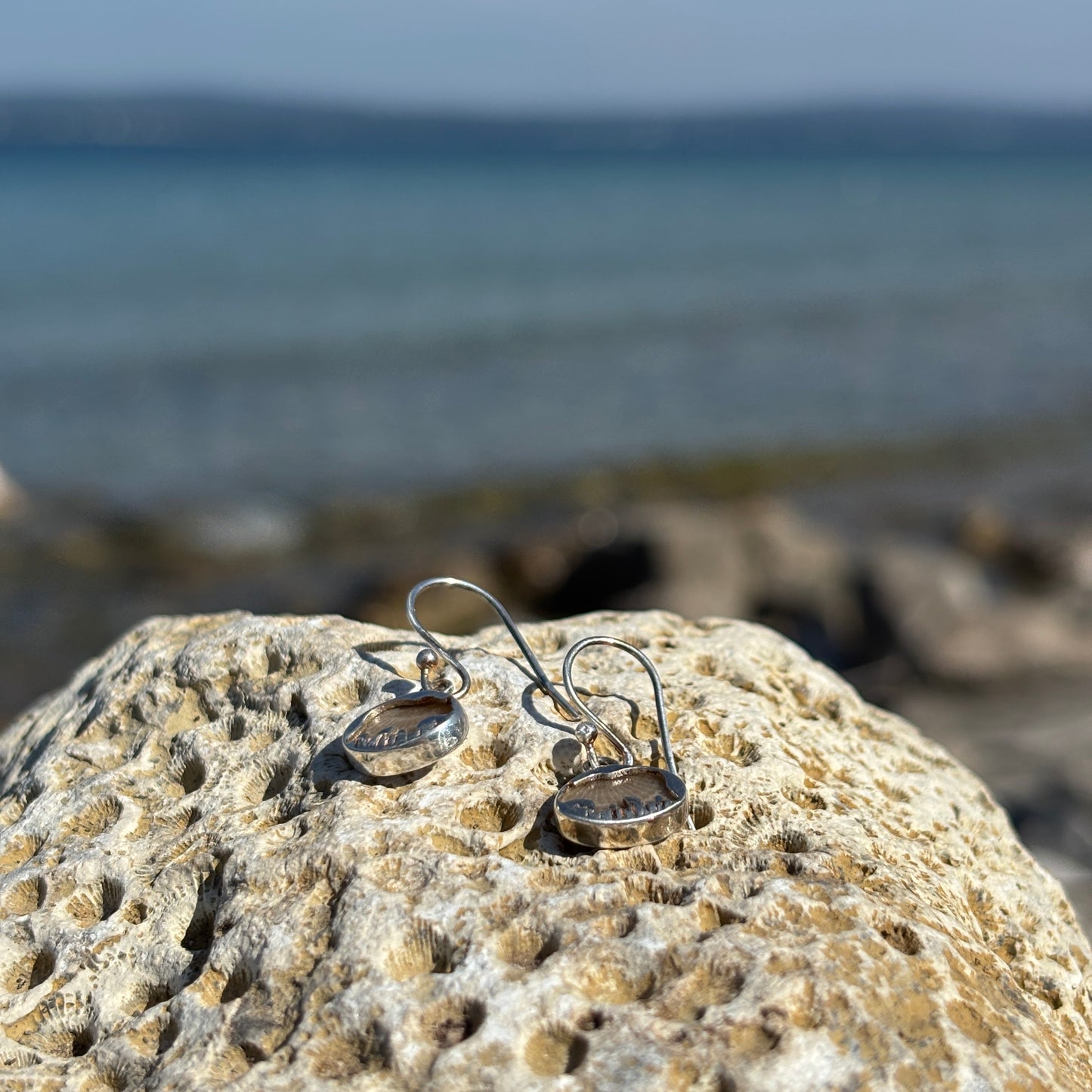 Silver Bear Petoskey Stone Earrings