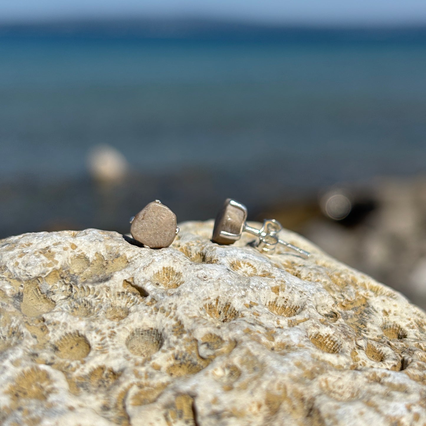 Petoskey Stone Stud Earring with Sterling Silver Prongs