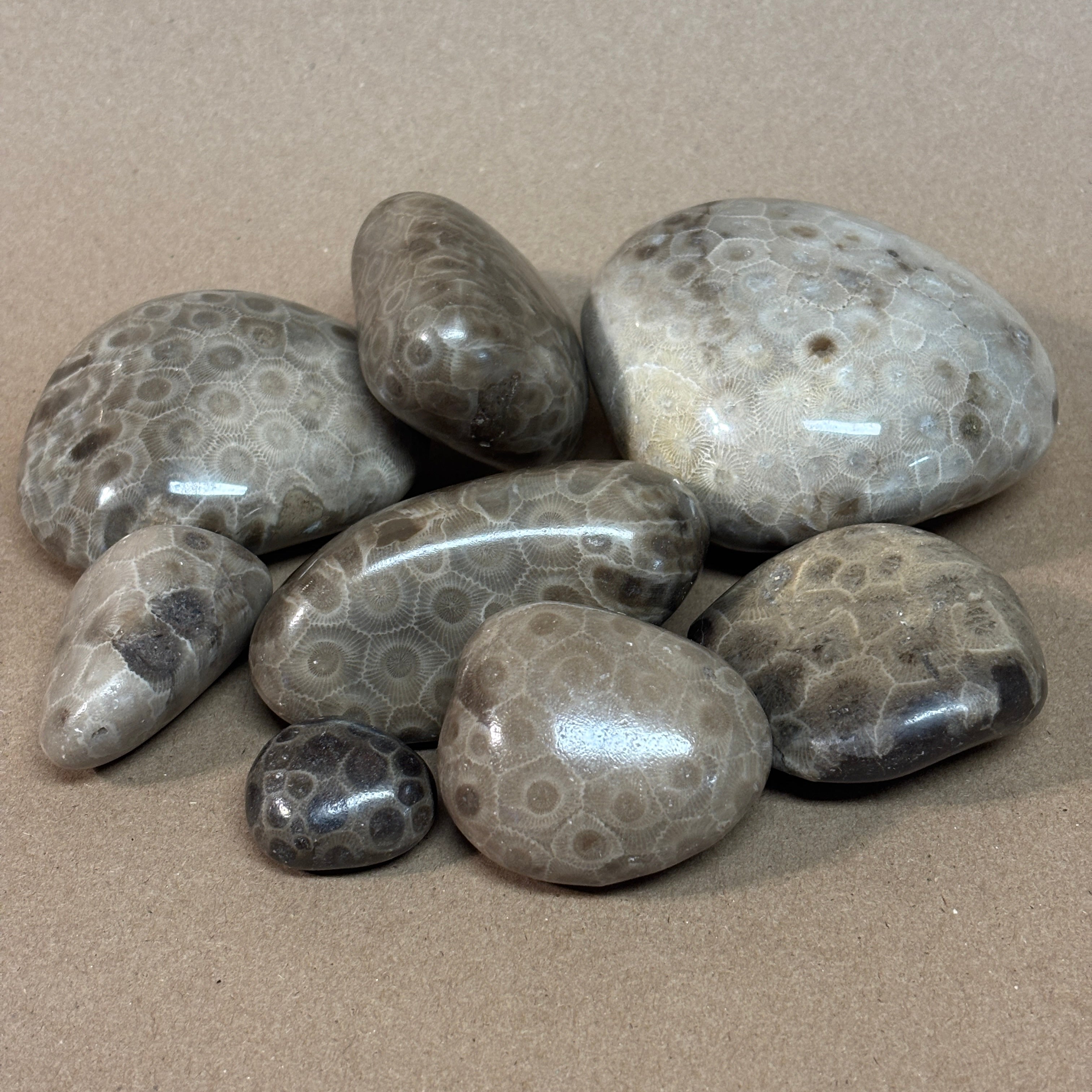 Products – The Petoskey Stone Shop