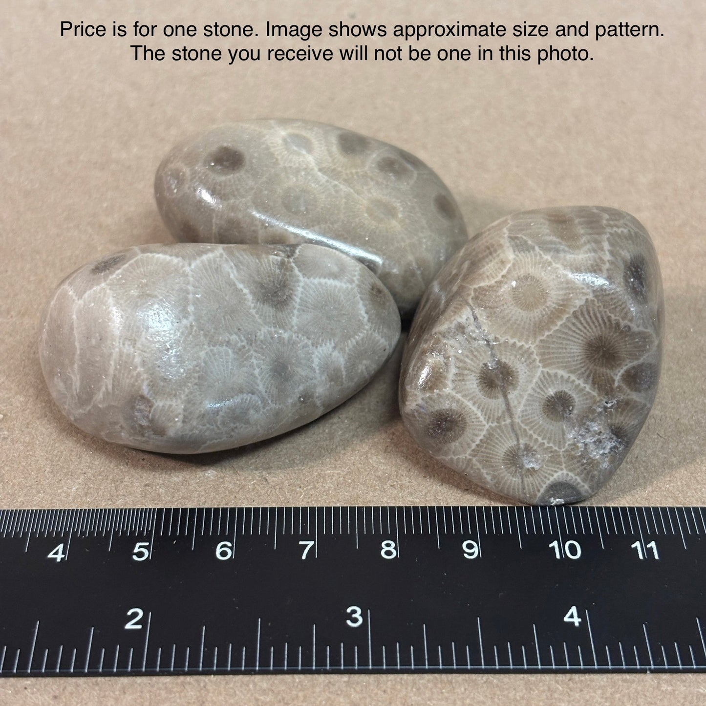 Fully Polished Petoskey Stone