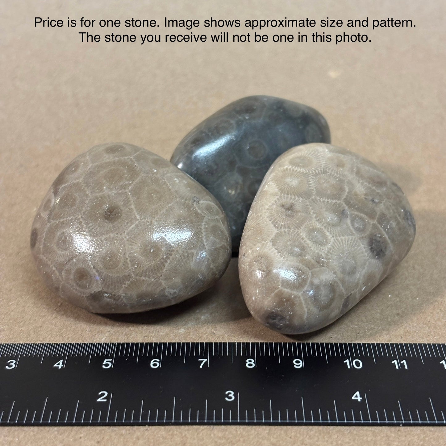 Fully Polished Petoskey Stone