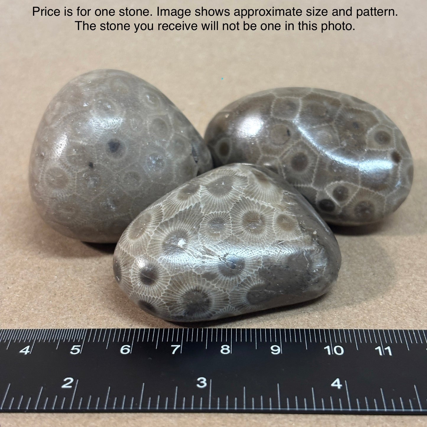 Fully Polished Petoskey Stone