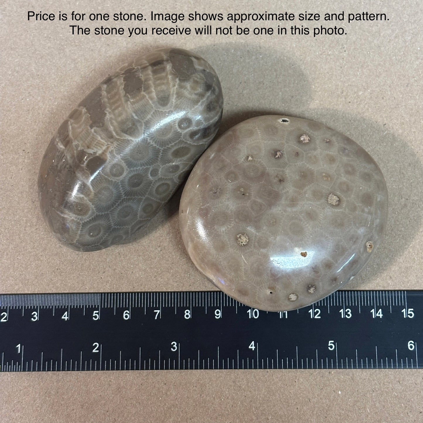 Fully Polished Petoskey Stone