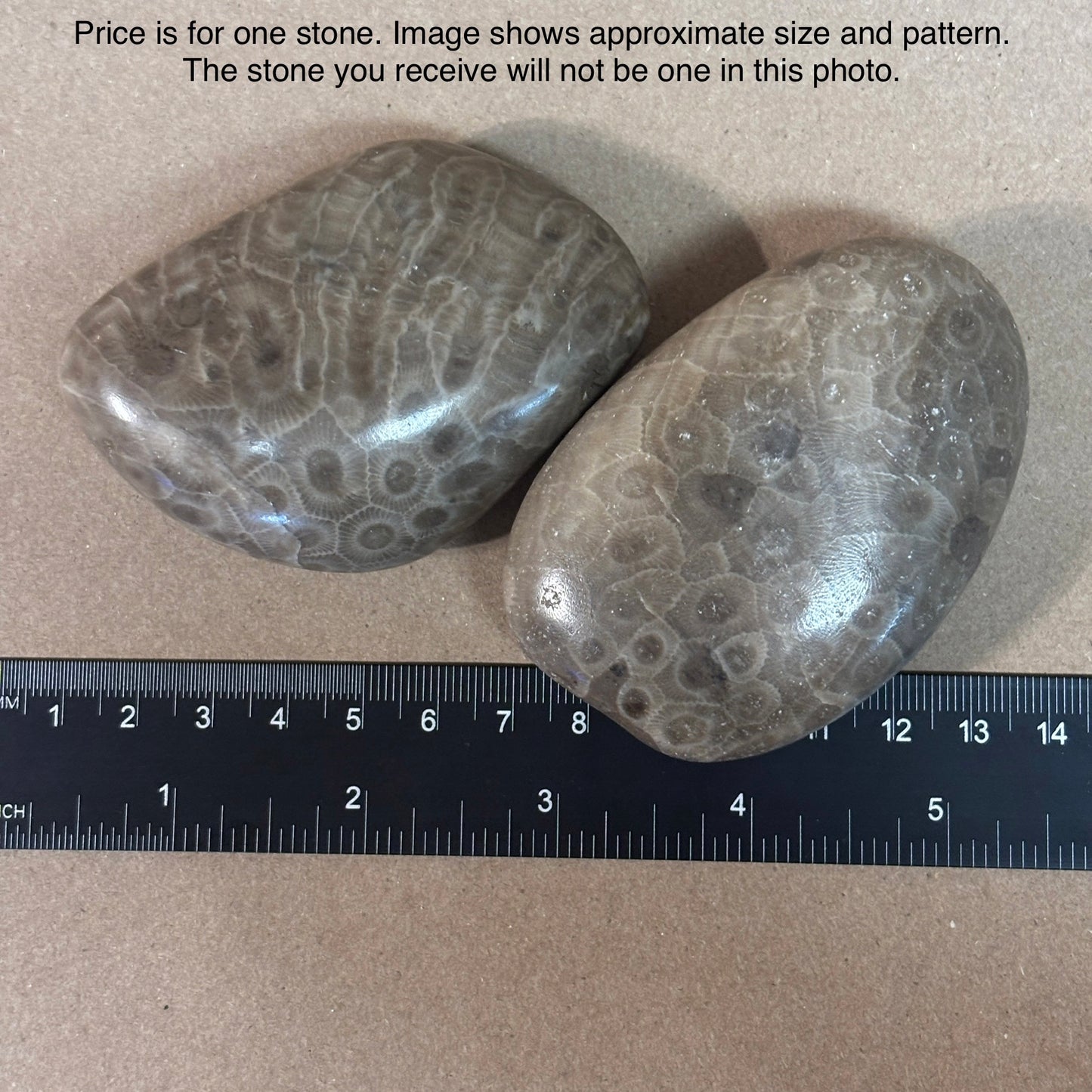 Fully Polished Petoskey Stone