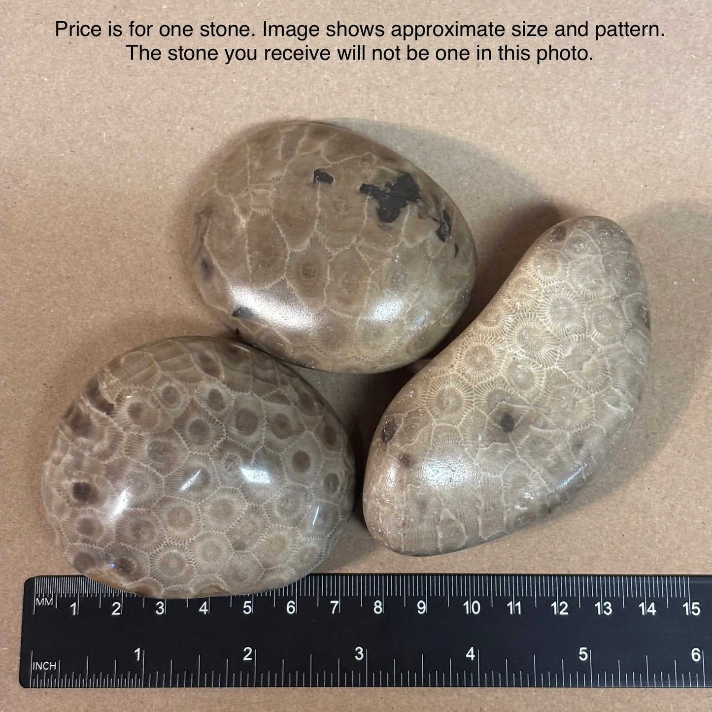 Fully Polished Petoskey Stone