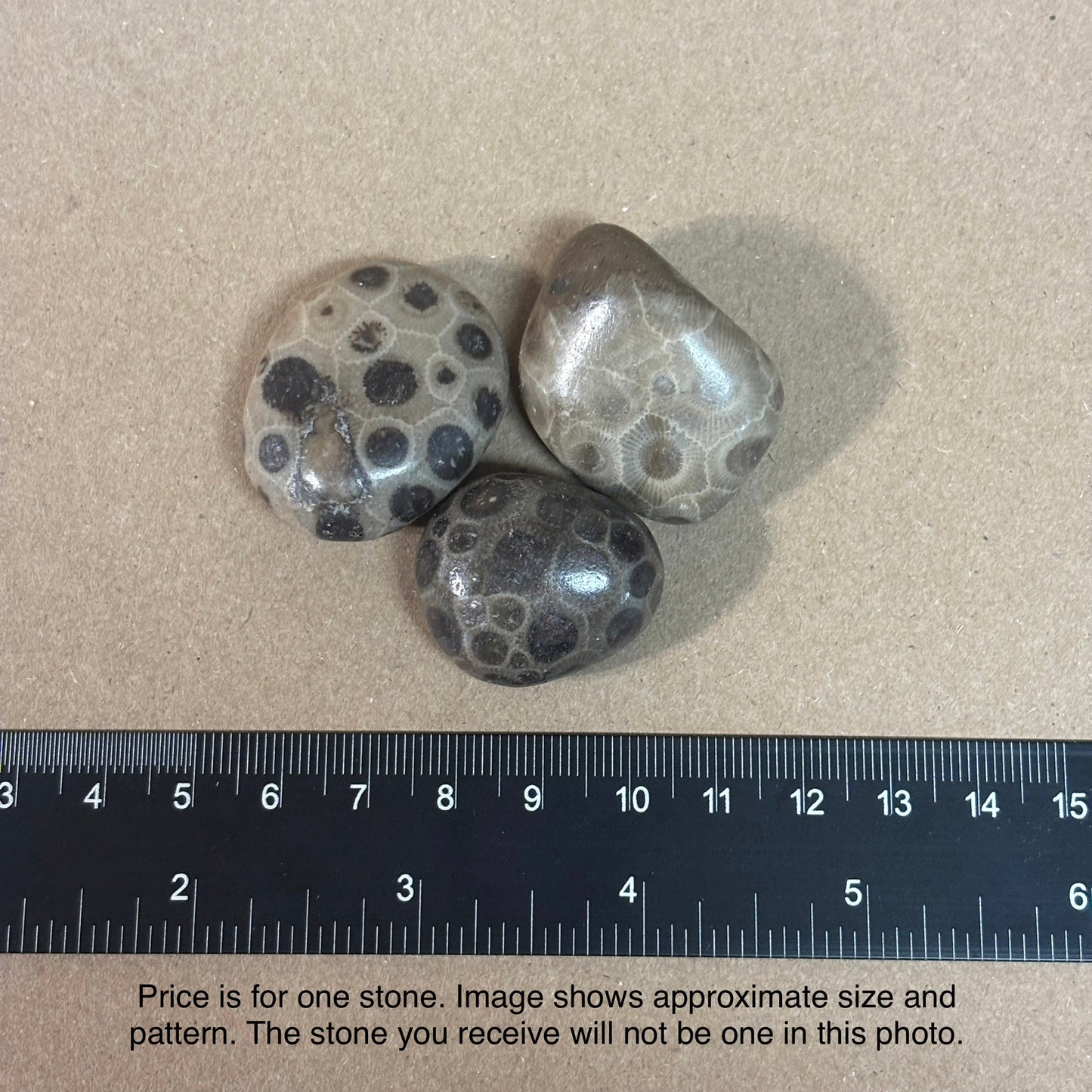 Fully Polished Petoskey Stone