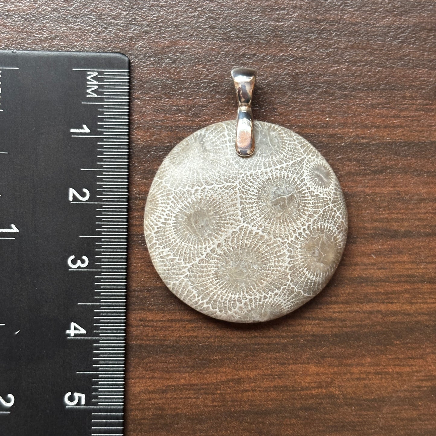 Petoskey Stone Pendant 30mm Round