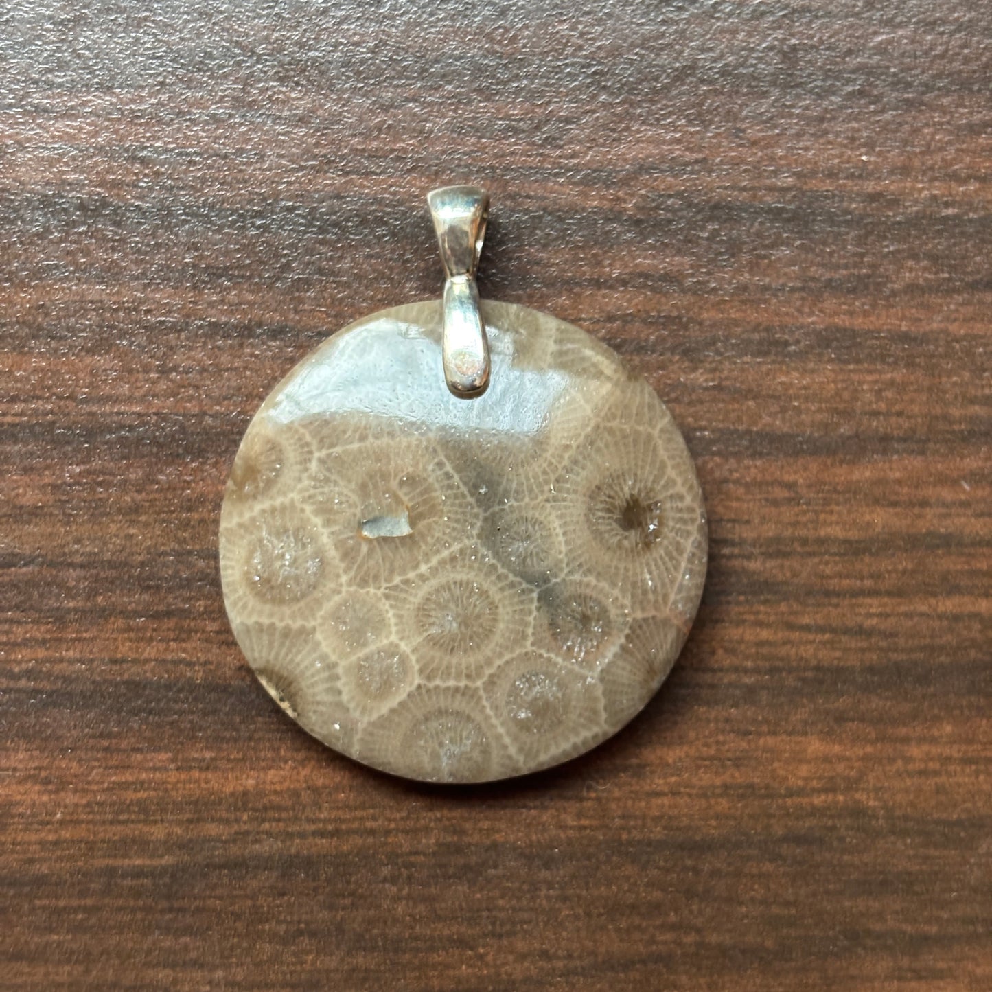 Petoskey Stone Pendant 30mm Round