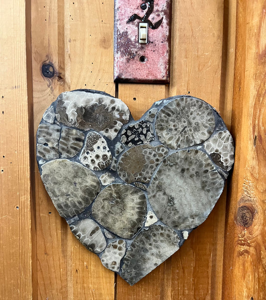 Heart Shaped Petoskey Stone Wall Art
