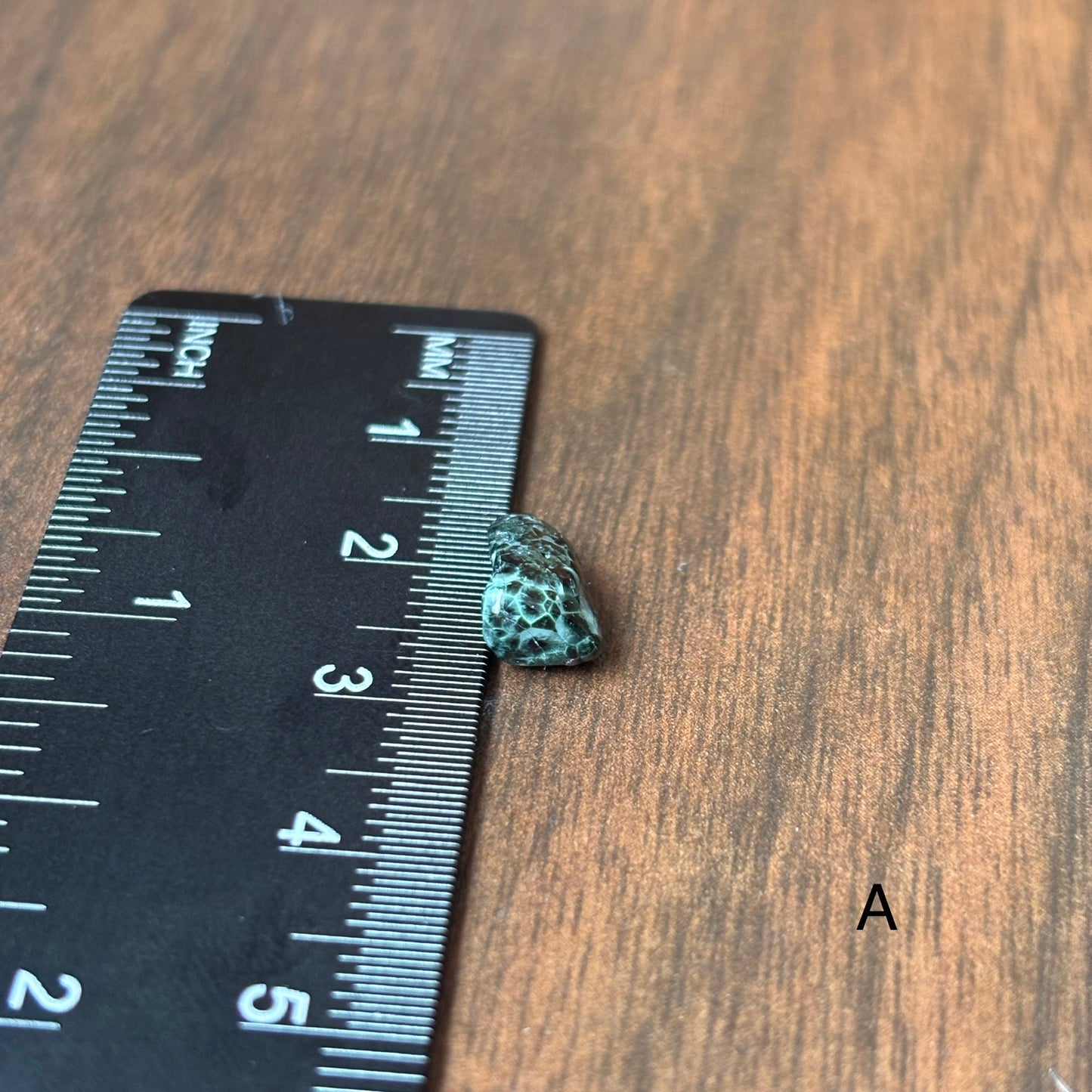 Isle Royale Greenstone, Chlorastrolite, Michigan's State Gem