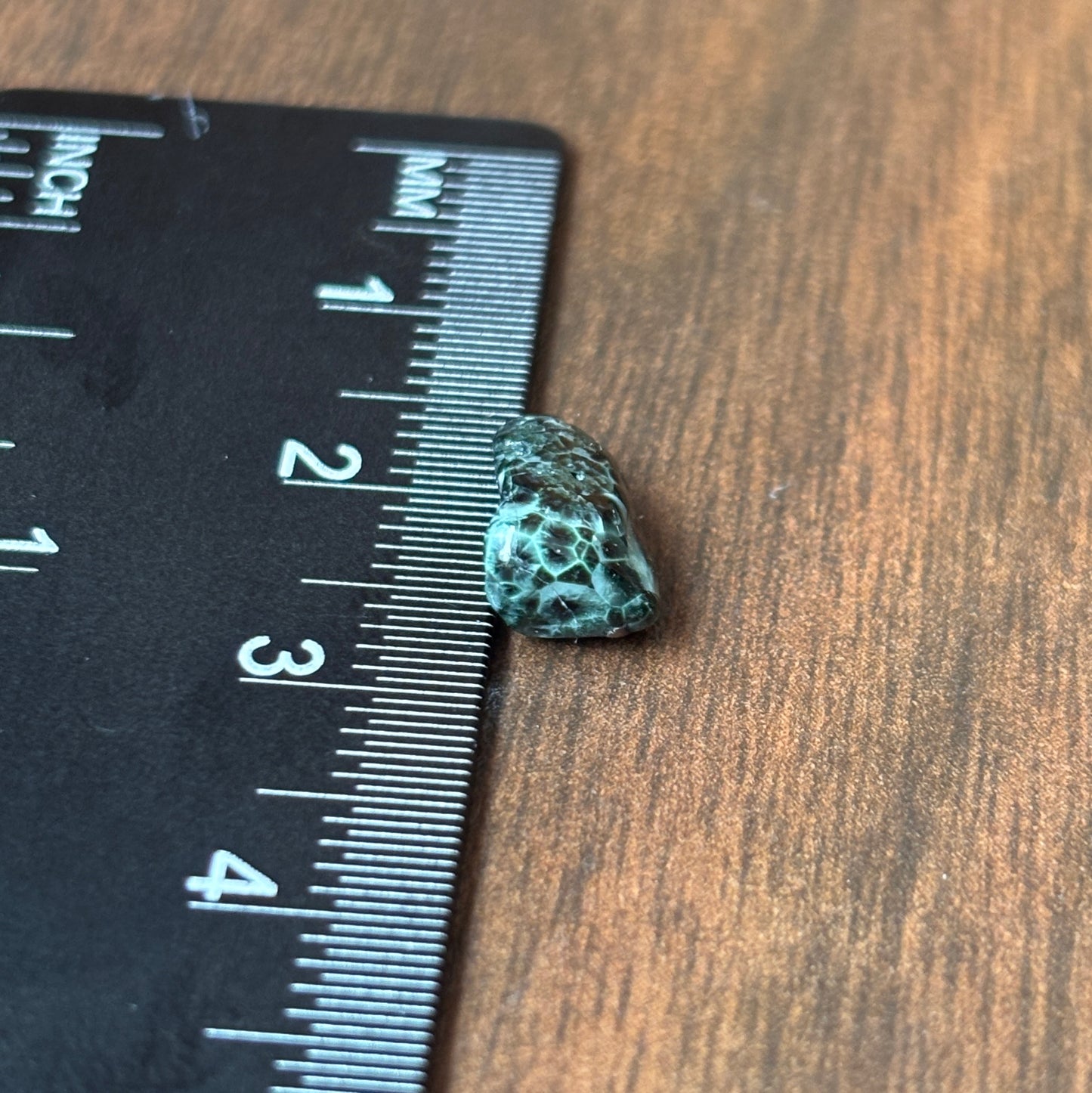 Isle Royale Greenstone, Chlorastrolite, Michigan's State Gem