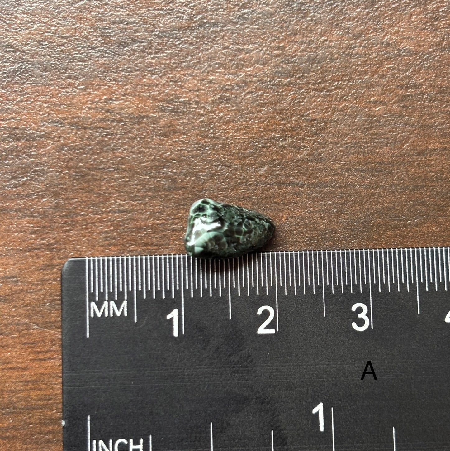 Isle Royale Greenstone, Chlorastrolite, Michigan's State Gem