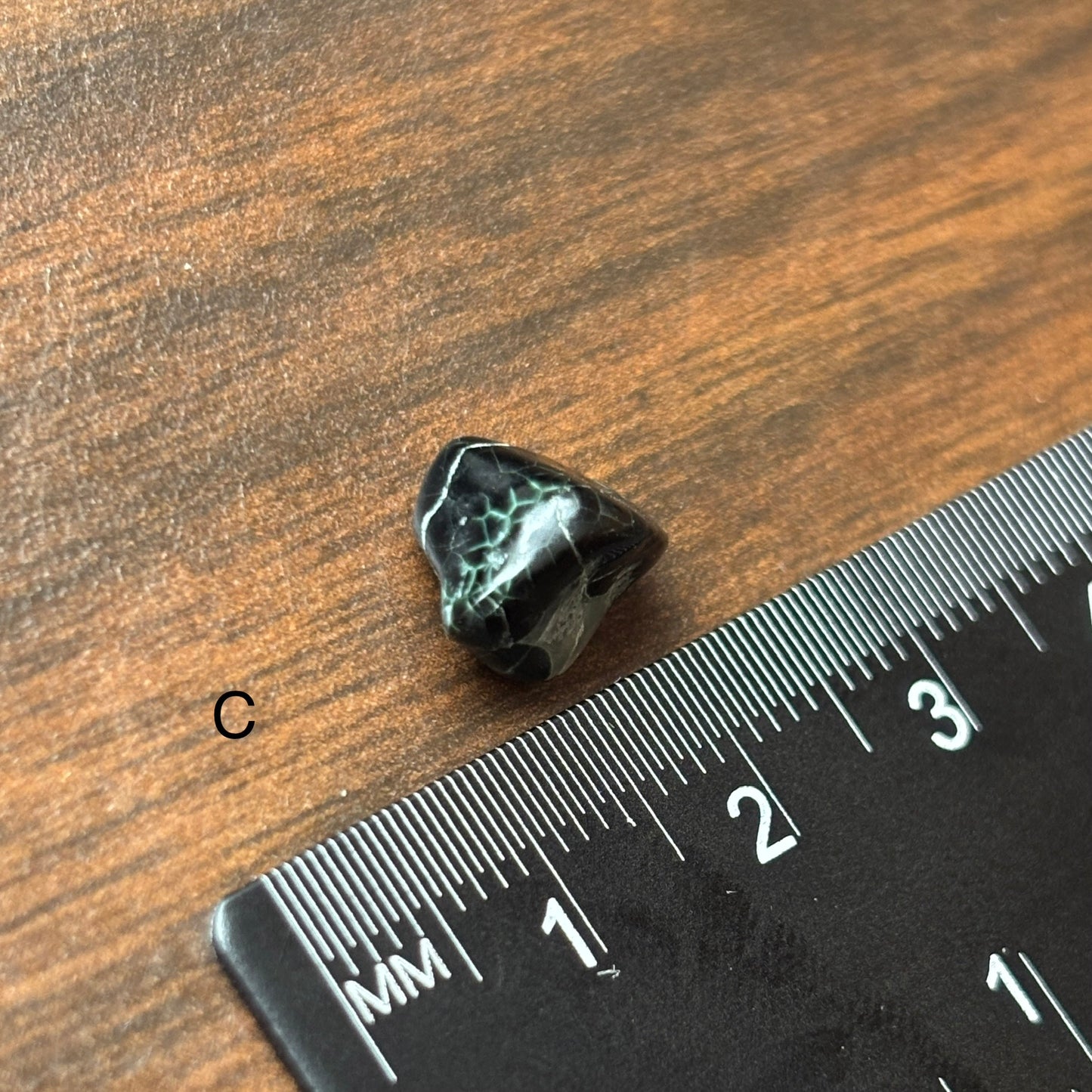 Isle Royale Greenstone, Chlorastrolite, Michigan's State Gem