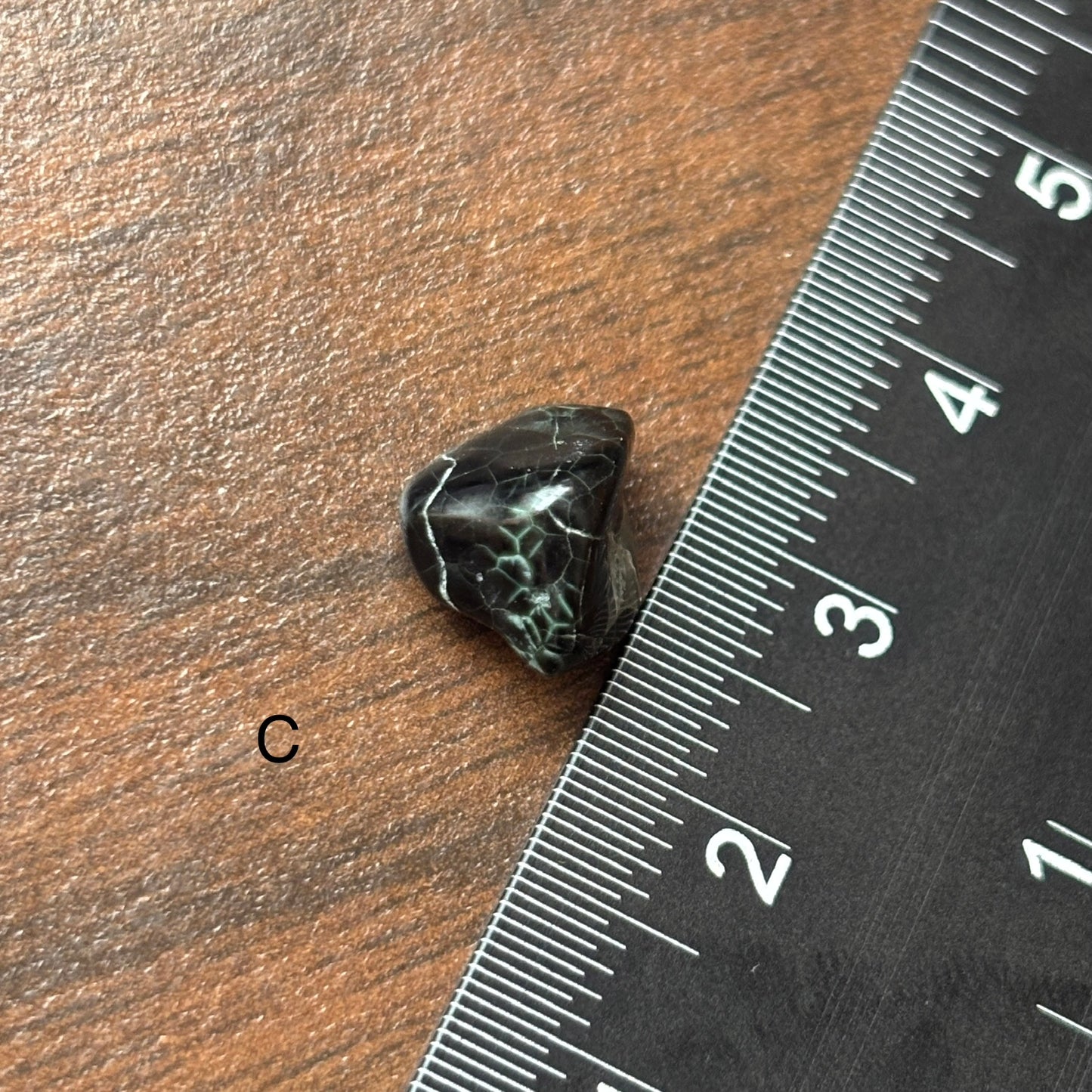 Isle Royale Greenstone, Chlorastrolite, Michigan's State Gem