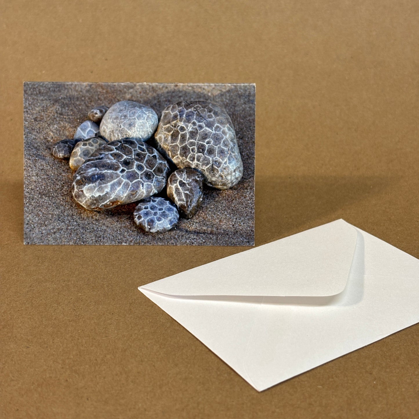 Blank Enclosure Card