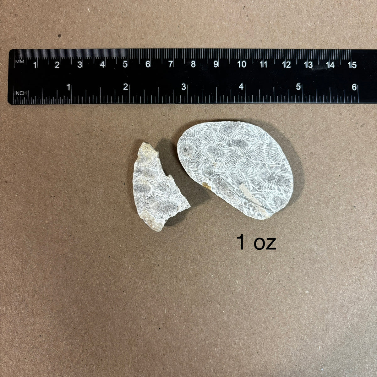 Pickled Petoskey Stone Slabs
