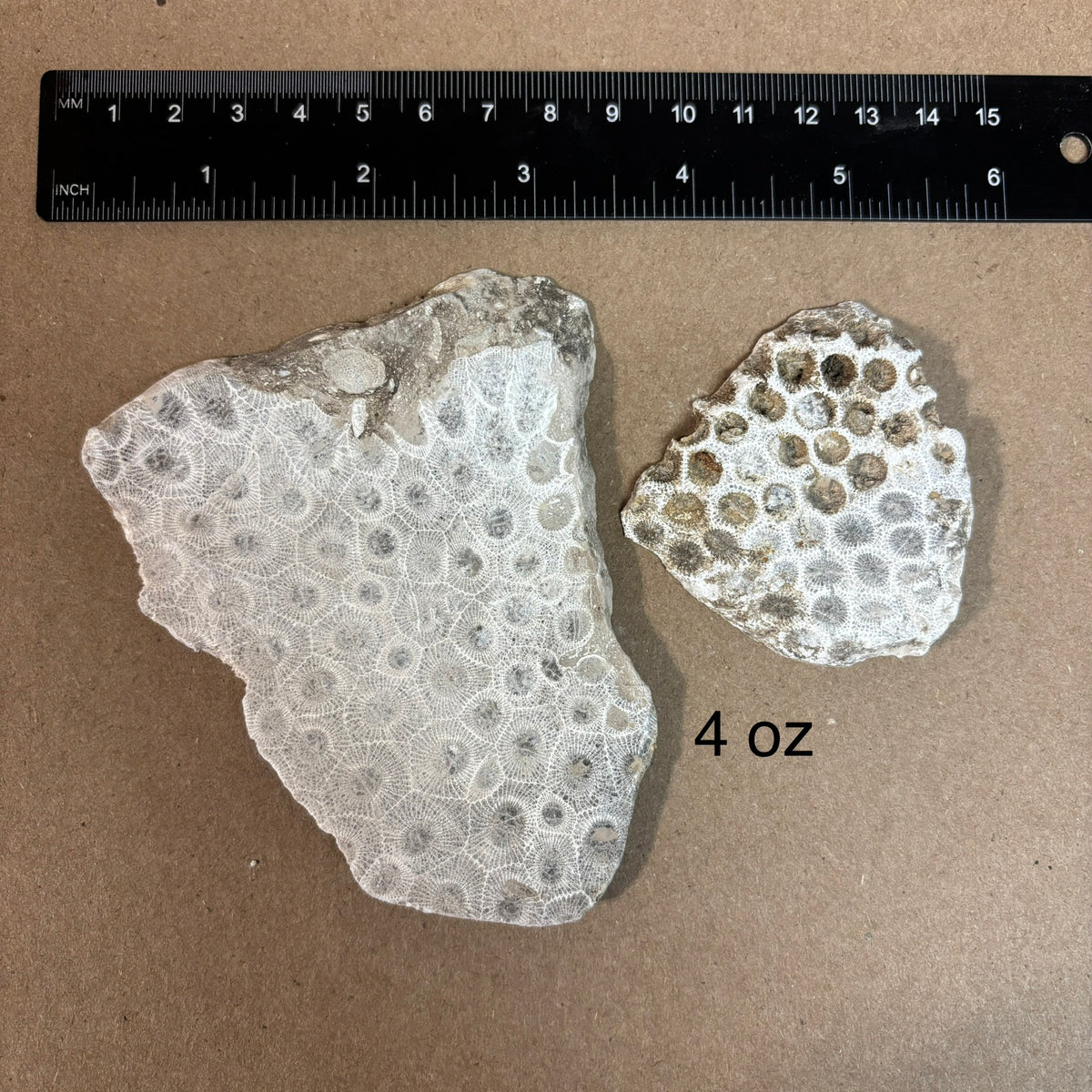 Pickled Petoskey Stone Slabs
