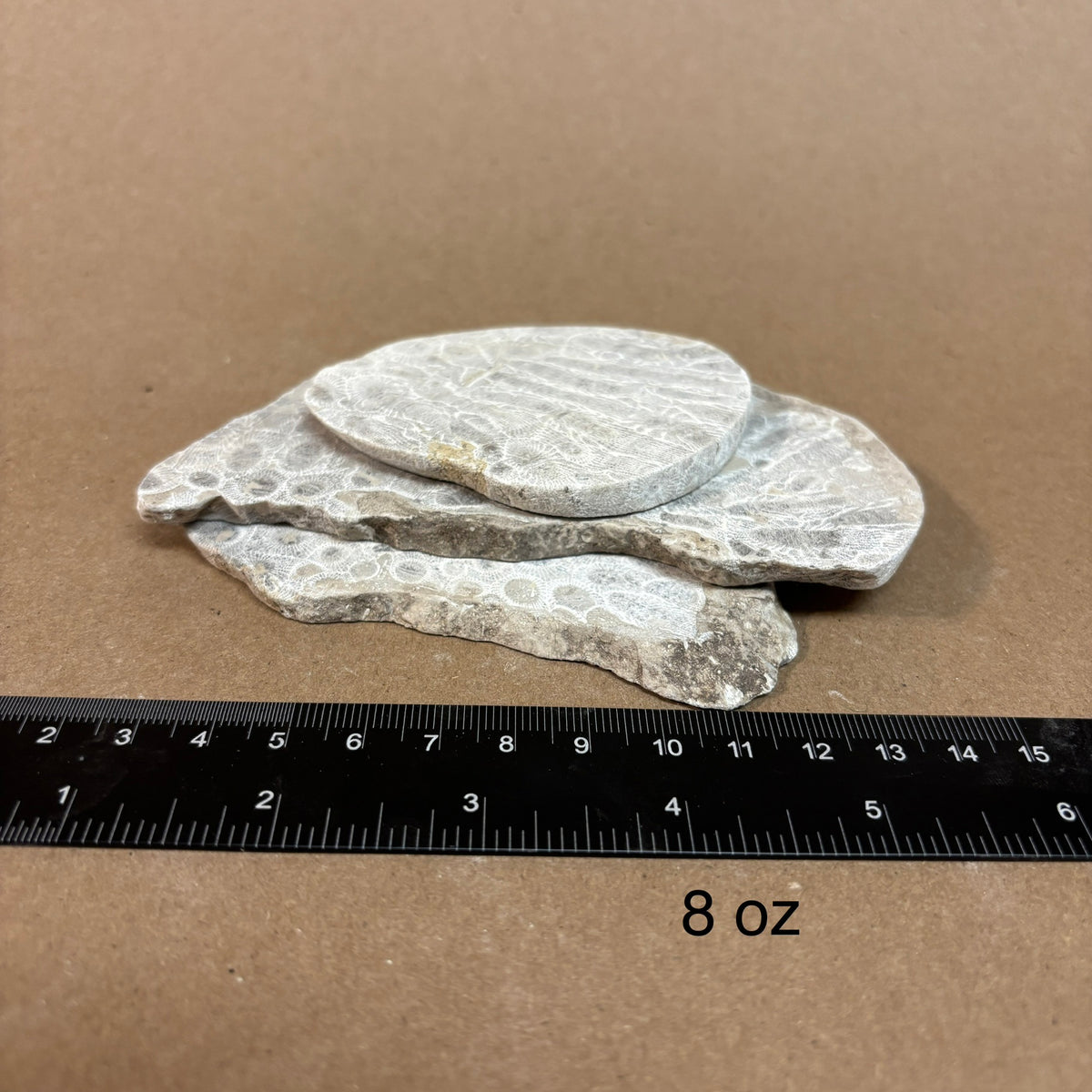 Pickled Petoskey Stone Slabs