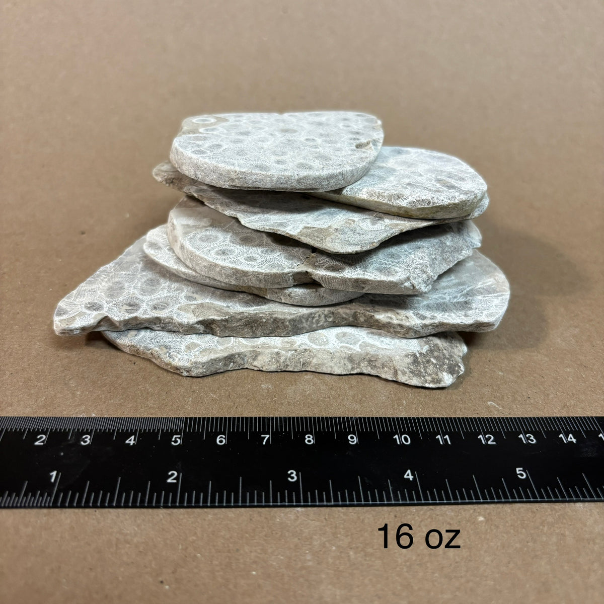 Pickled Petoskey Stone Slabs