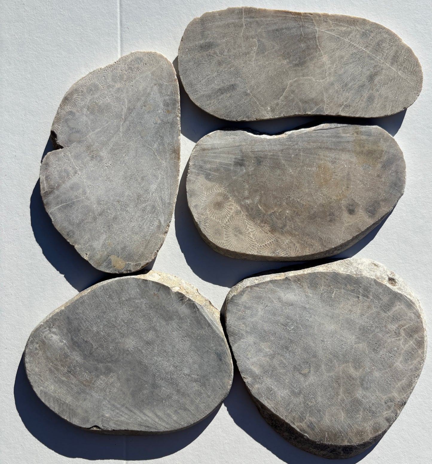 Unpolished Petoskey Stone Slabs