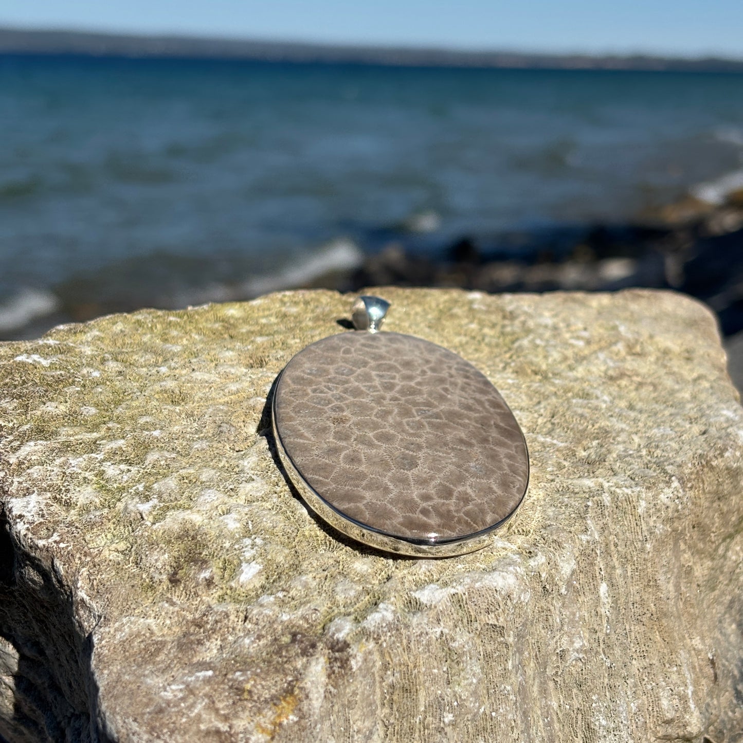 XL Petoskey Stone Necklace or Bag Charm