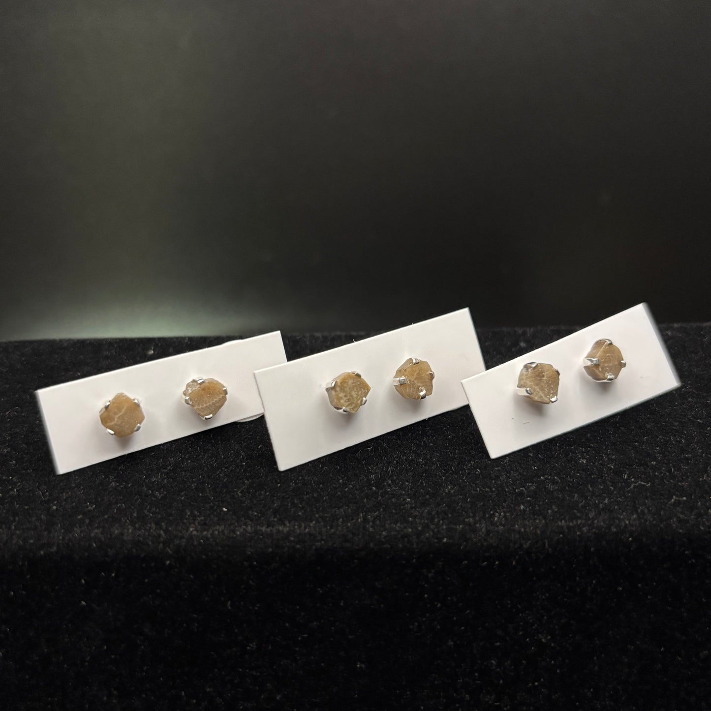 Petoskey Stone Stud Earring with Sterling Silver Prongs