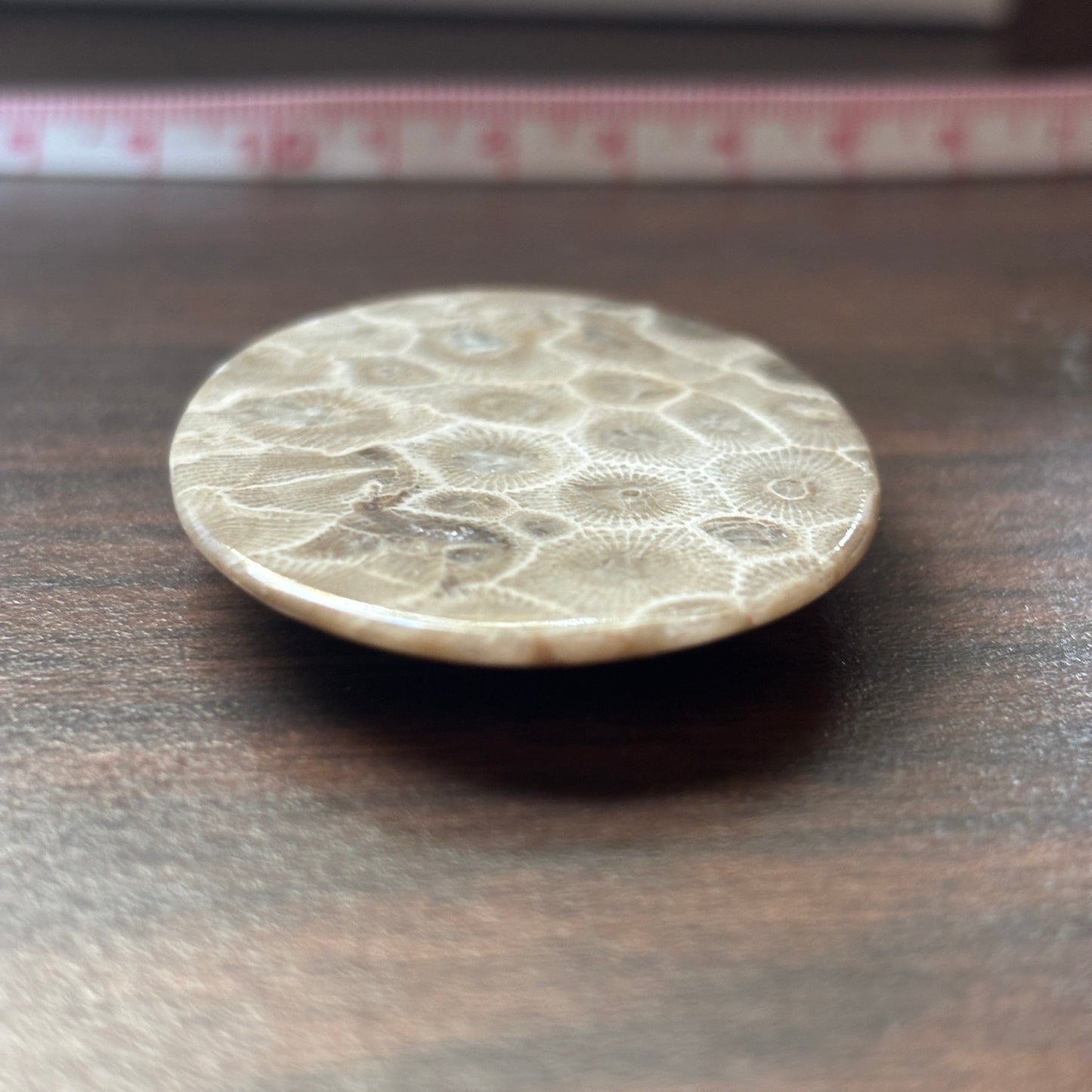 Petoskey Stone Cabochon 52mm x 38mm Oval
